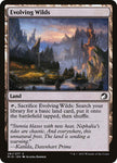 MIDNIGHT HUNT - 261 EVOLVING WILDS - COMMON LAND